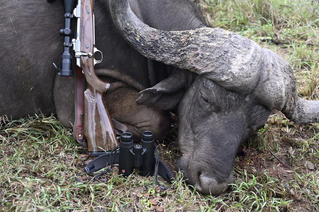 Hunting Near Kruger National Park: Geography and Natural Features, Hunting Demographics, and Trophy-Class Game Opportunities