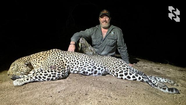 The most natural leopard print in your collection