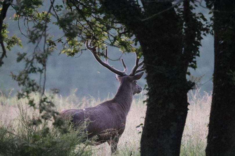 Photo from news post