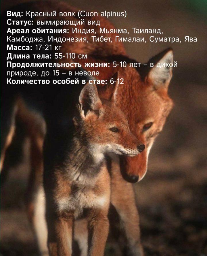 Photo from news post