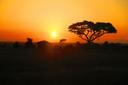 Hunting in Atakora: Laws, Legislation and Сlubs. A Thrilling Adventure in West Africa’s Hidden Wilderness (PART 1)

Nestled in the northernmost part of Benin, Atakora is 