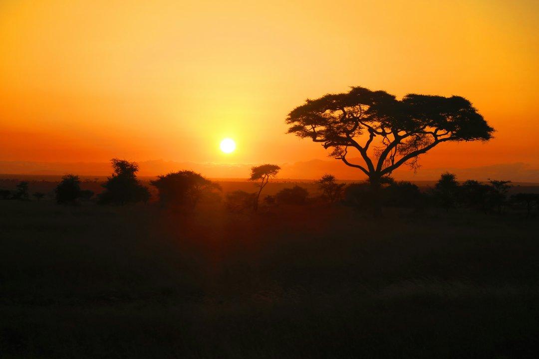 Hunting in Atakora: Laws, Legislation and Сlubs.