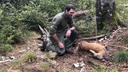 Jagd im BAYERISCHEN WALD: Bergreviere, Besonderheiten, Wildbestände und althergebrachte Jagdtraditionen in Ostbayern

Geographische und natürliche Besonderheiten für die 