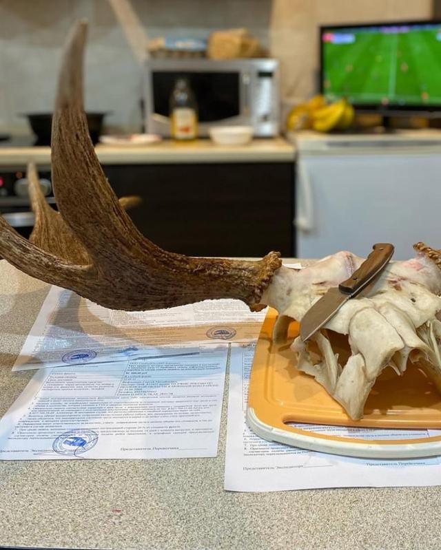 Photo from news post