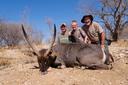 Hunting in Madikwe: Geography and Natural Features, Hunting Demographics, and Game Species Diversity

Geography and Nature

Located in the remote northwest corner of South Africa near the Botswana border, the Madikwe region is a striking ecological transition zone. Here, the red sands of the Kalahari meet the thornveld of the bushveld, creating a diverse habitat that supports exceptional biodiversity. Hunters move through landscapes of acacia thickets, grassy plains, rocky ridges, and seasonal watercourses—each offering unique challenges and rewards.

Hunting Demographics

Madikwe’s hunting areas appeal to a niche segment of serious hunters looking for authentic fair-chase safaris in untamed terrain. International hunters, particularly from Europe and North America, are drawn by the region’s remoteness and strong conservation ethics. South African hunters, especially those from Gauteng and the North West, value the proximity, quality game, and immersive wilderness experience.

Hunting Features in  Madikwe

All hunting is conducted under North West provincial law and is led by licensed Professional Hunters. The hunting areas surrounding the Madikwe Game Reserve consist of private and community-run concessions that enforce sustainable, quota-based harvesting. Hunts are strictly fair-chase, with no artificial fencing scenarios. Game moves freely through the terrain, and each outing is tailored to the hunter’s preferences and seasonal conditions.

Types of Hunting and Game Species

Madikwe offers an impressive variety of game species. Plains game such as greater kudu, impala, gemsbok, red hartebeest, blue wildebeest, zebra, and warthog are abundant. Larger concessions may also provide regulated opportunities to hunt Cape buffalo, caracal, and hyena. Night hunting for predators is allowed under special permits and professional guidance.

Hunting Seasons

The optimal hunting window is from May through September, when the bushveld is dry and open, increasing visibility and allowing better tracking. August and September are especially favorable due to concentrated animal movement around scarce water sources. March and April can also yield good hunts early in the dry season, while the rainy summer months (December to February) are generally avoided due to dense vegetation and challenging animal behavior.

Hunting Organizations in Madikwe

Most outfitters in Madikwe are affiliated with recognized hunting and conservation bodies, including PHASA and regional game management associations. These connections ensure professional standards in ethics, safety, and wildlife sustainability. Some operations also participate in broader land stewardship and community development initiatives tied to hunting revenues.

Hunting Requirements

Hunting is governed by North West Province regulations. Permits are required for all game species, and quotas are closely managed. Dangerous game and night hunts require special authorization. All hunts must be accompanied by a registered Professional Hunter, and every harvested animal is documented and processed according to conservation protocols.

Hunting Practices

Madikwe’s hunting camps embrace the traditional bushveld ethos. Days begin before sunrise with coffee around the fire and end with sundowners and storytelling under the stars. Accommodations range from luxurious safari chalets to authentic tented bush camps. Many camps also offer access to Madikwe Game Reserve for non-hunting photographic safaris—ideal for mixed groups or family trips.

Fascinating Facts

Madikwe’s hunting zones form part of a greater regional conservation corridor. These areas actively support community development through employment, anti-poaching efforts, and infrastructure maintenance. Every hunt contributes directly to the sustainability of both wildlife and rural livelihoods. The terrain also presents one of the few areas in the province where hunters can encounter both Kalahari and bushveld species in one location—a rare and memorable challenge.