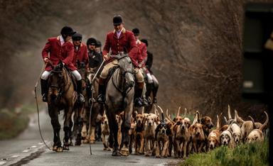 Walking Gun Field Sports Photography