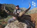 Spain: ibex, chamois, deer, birds

The main hunting season 24/25 for ungulates has ended.
The next season is planned to be just as 🏆productive!

👉 Now you can choose th