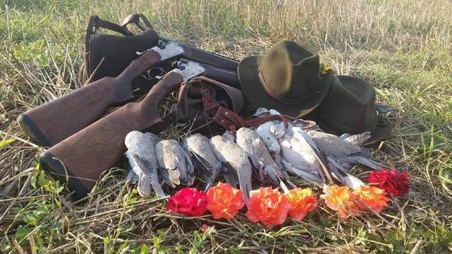 Photo from news post