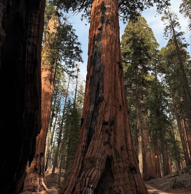 Photo from news post