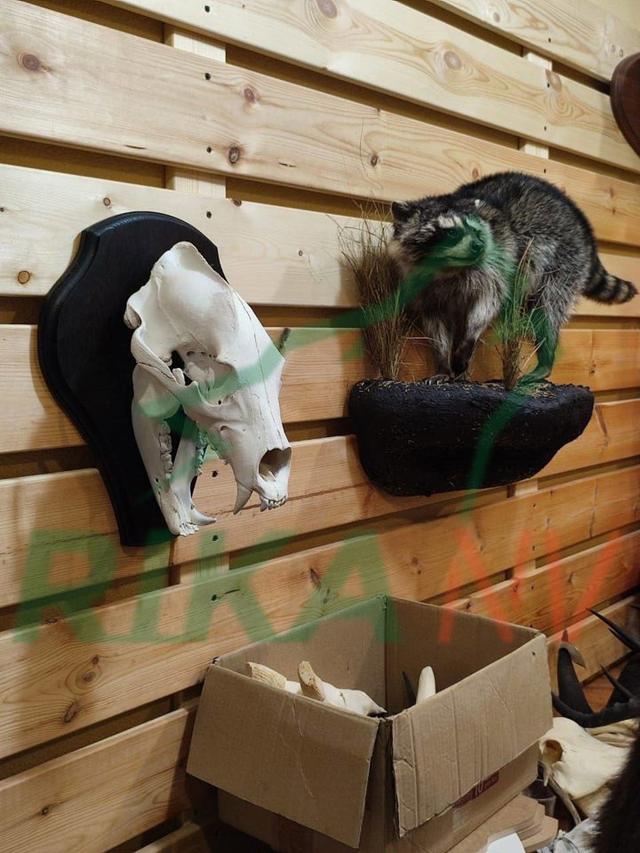 Photo from news post