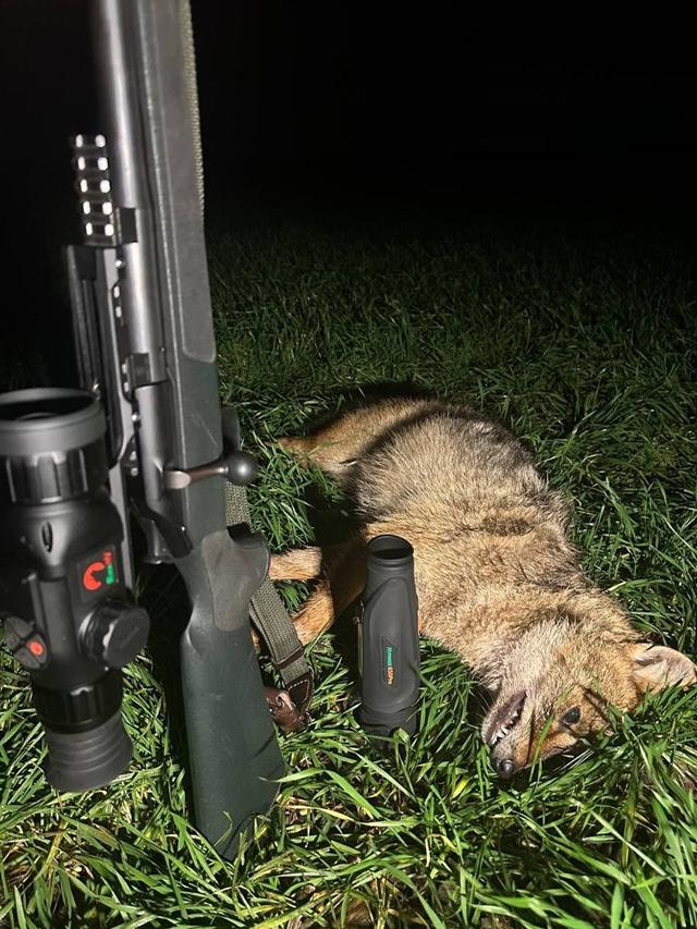 Photo from news post