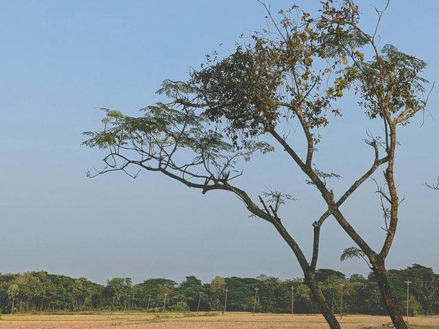 <strong>Hunting</strong> in Lunda Norte, Angola: Geographical Specifics, Wildlife, Types of <strong>Hunting</strong>, Rules, Seasons and Unique Customs  