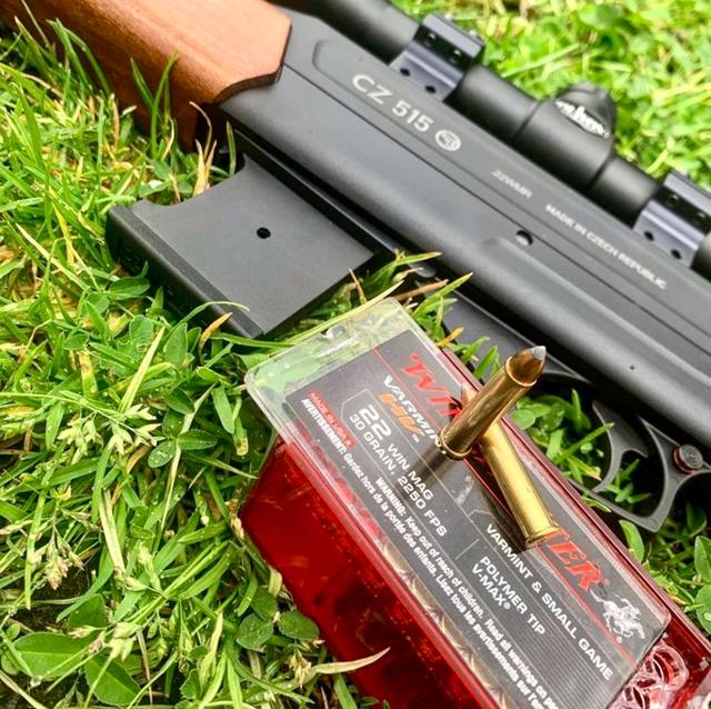 Карабин CZ 515: полный обзор моделей в калибрах .22LR и .22WMR для охоты и спортивной стрельбы
