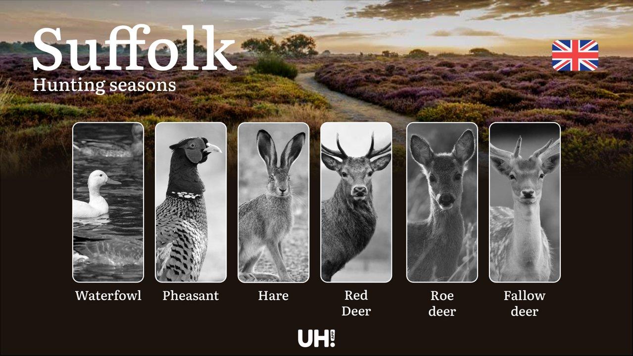 Suffolk Hunting Seasons: Dates, Licenses, Rules & Best Times to Hunt Deer, Pheasant & Duck