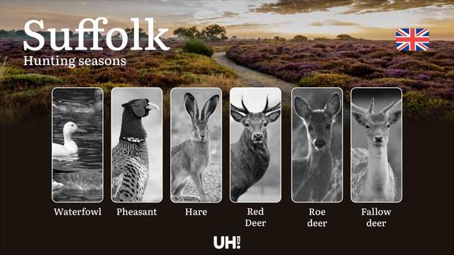 Suffolk <strong>Hunting</strong> Seasons: Dates, Licenses, Rules & Best Times to Hunt Deer, Pheasant & Duck