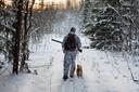 Сезон загонной охоты на копытных продлится по 31 декабря. Охота разрешена на лосей, кабанов, косуль, оленей благородных, оленей пятнистых, ланей и муфлонов.
БООР напомина