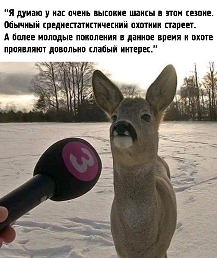 Photo from news post