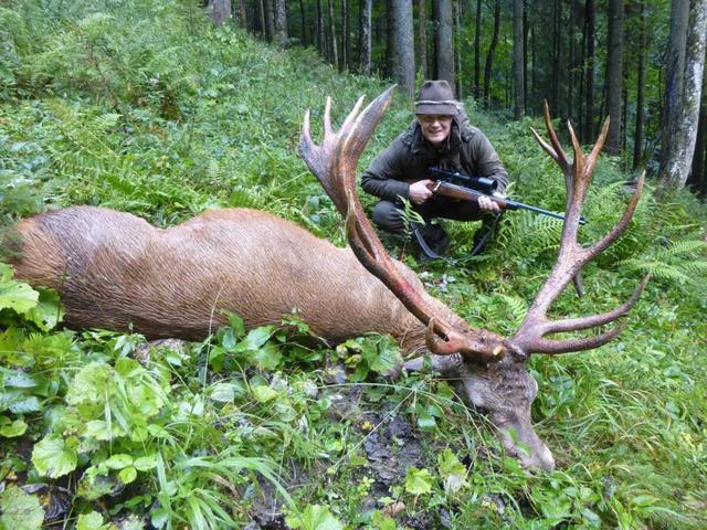 Die Jagd im Bezirk Neunkirchen: Merkmale, Wildarten, Aktivitäten, Kalender, Jagdarten, Regelungen, Bräuche, Vereine, Aspekte 