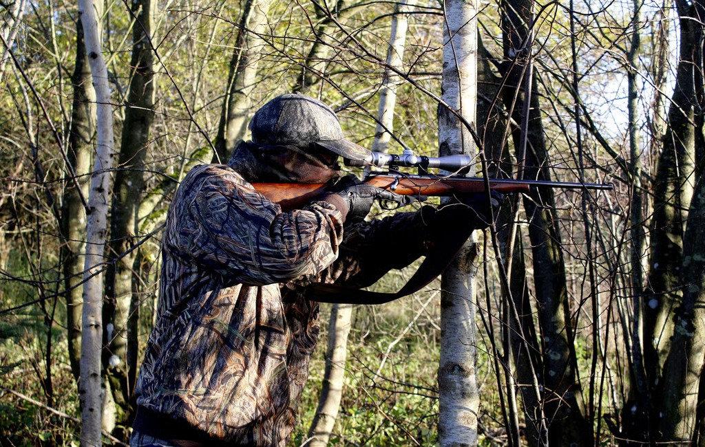 Jagd im HARZ: Geographische Besonderheiten, Wildarten, Jagdmethoden, Jagdgesetzgebung und Jagdtraditionen