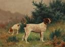 Wildlife art by Georges Frederic Rotig  (1873-1961)