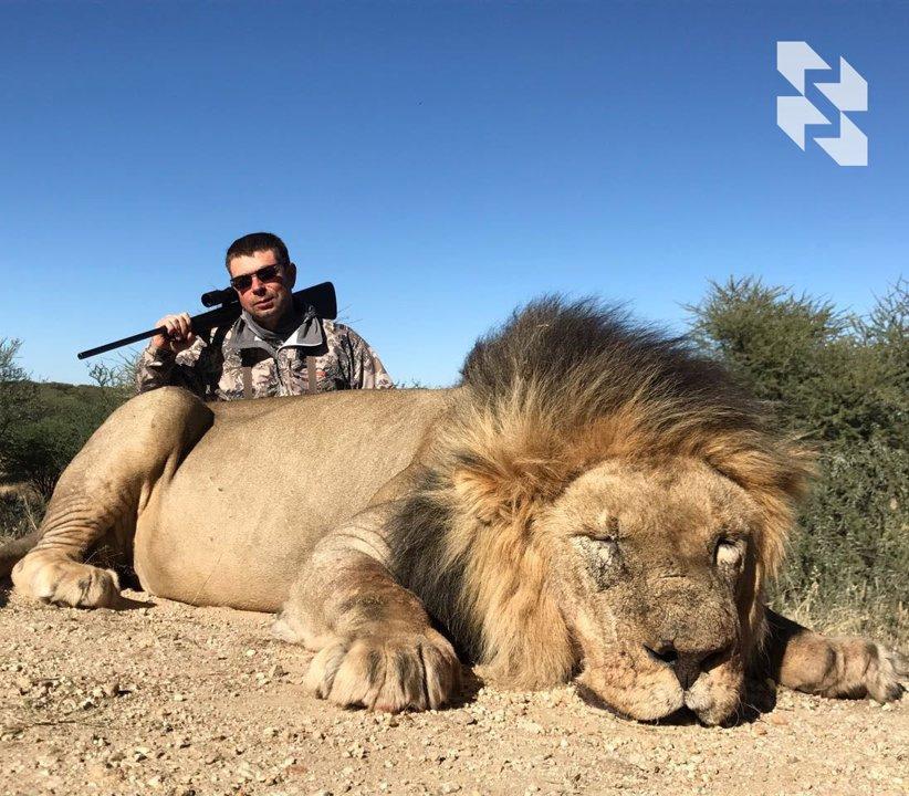 The lion's share of wild 🦁 lions live in Africa.