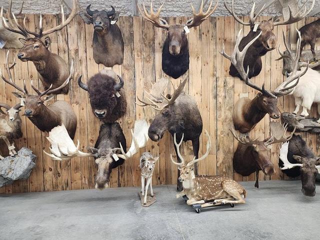 Photo from news post
