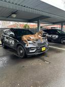 With the cold weather here, be sure to check your vehicles before starting them up. Animals love to crawl underneath and lay on top of your vehicles to stay warm during t