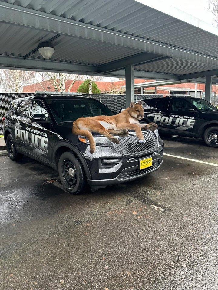 Photo from news post