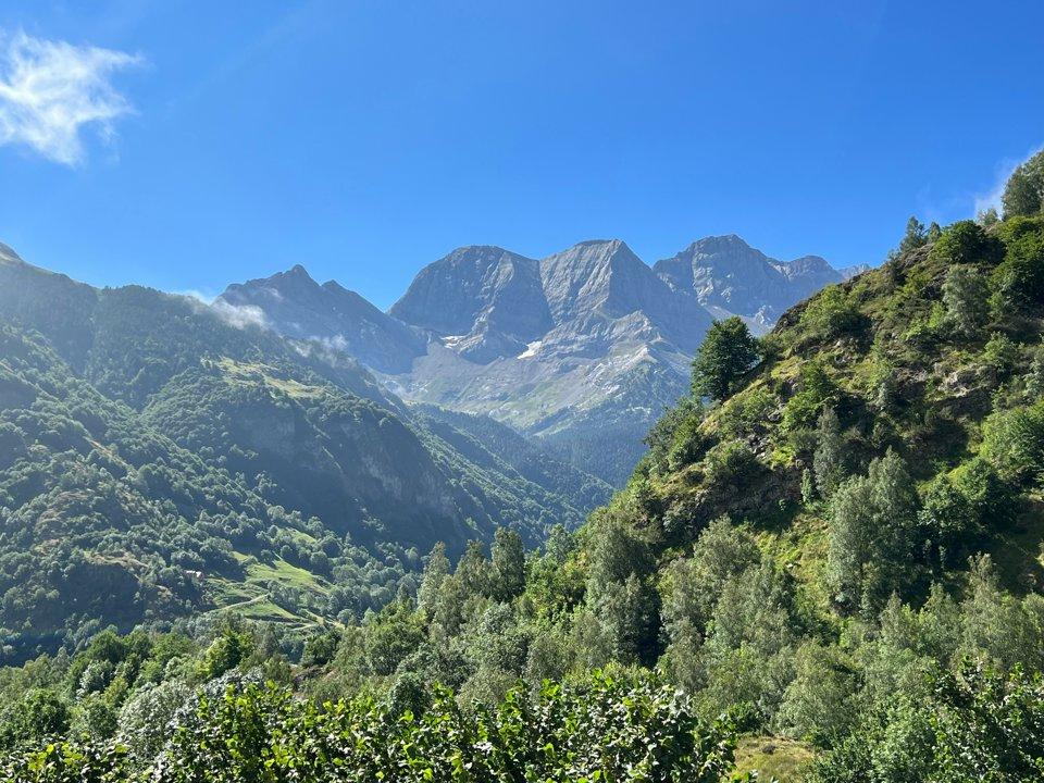 Chasse en CHARTREUSE: Guide complet sur la faune, saisons de chasse, traditions locales et législation spécifique