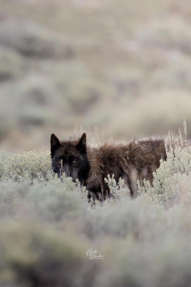 Photo from news post