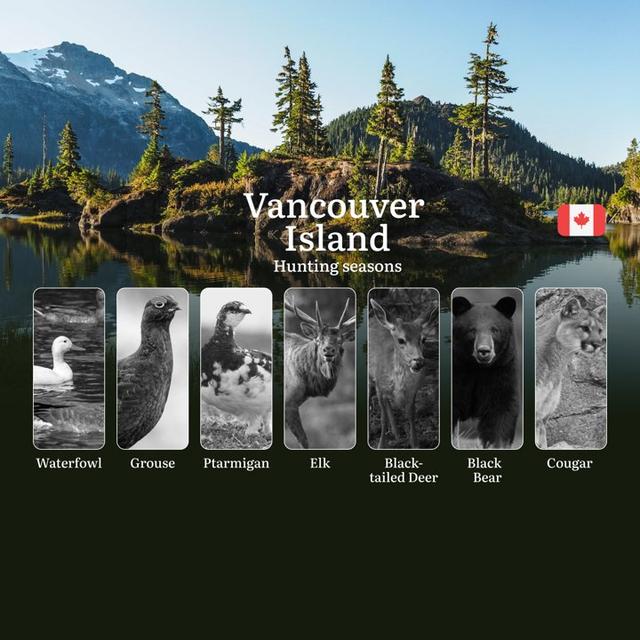 Hunting Seasons in VANCOUVER ISLAND: Opening and Closing Dates, License Requirements and Essential Rules