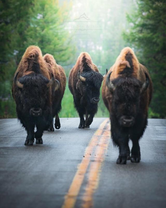 Photo from news post