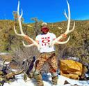 Antlers are extensions of an animal's skull found in members of the Cervidae (deer) family. Antlers are a single structure composed of bone, cartilage, fibrous tissue, skin, nerves, and blood vessels. They are generally found only on males, with the exception of reindeer/caribou.