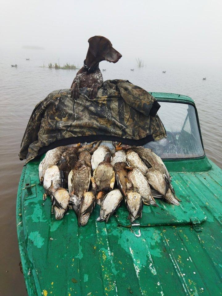 Photo from news post