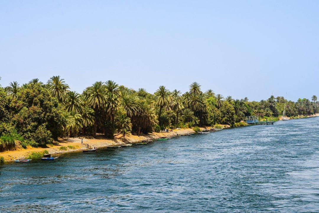 Hunting in the Dakar Department of Senegal: game, laws, legislation, hunting seasons.