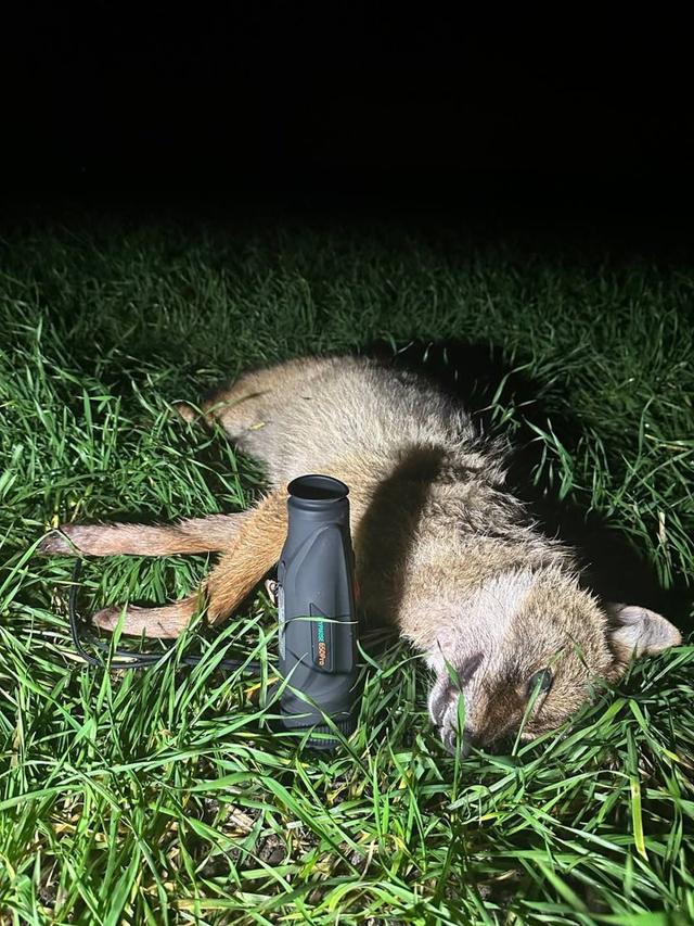 Photo from news post