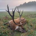 Hunting in Belarus: Red Stag, Boar, Elk, Deer — Prices & Seasons