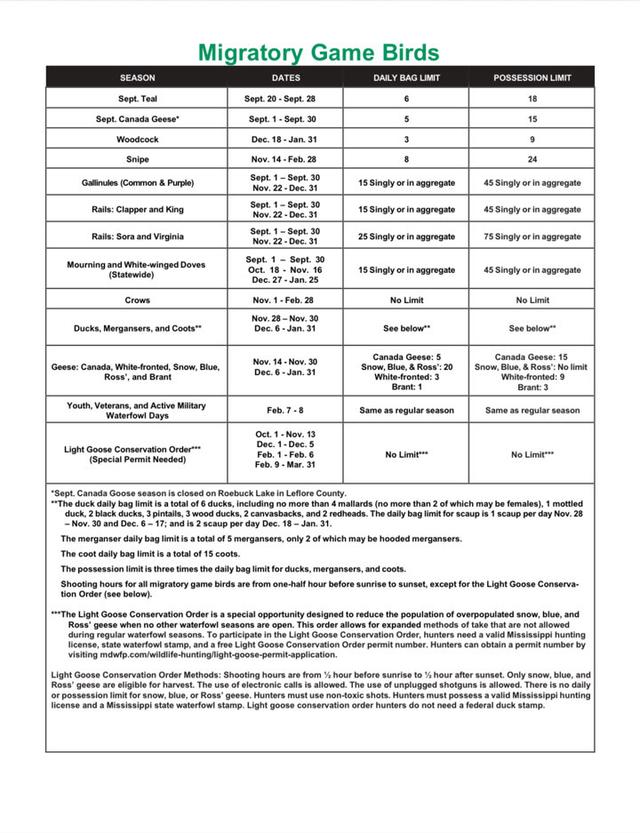 Hunting Seasons in Mississippi 2025–26: Big Game and Small Game, Licenses, and Regulations Guide