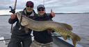 
Trophy pike in Braslav lakes

Pike are usually caught casting. Pike fishing is similar to bass fishing in that you can catch them on lures and by usually casting shoreli