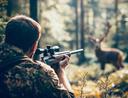 What is the best rifle for deer hunting?