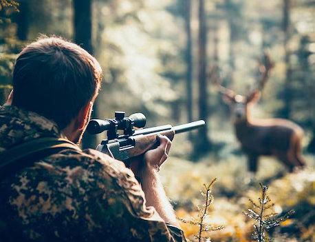 What is the best rifle for deer hunting? avatar