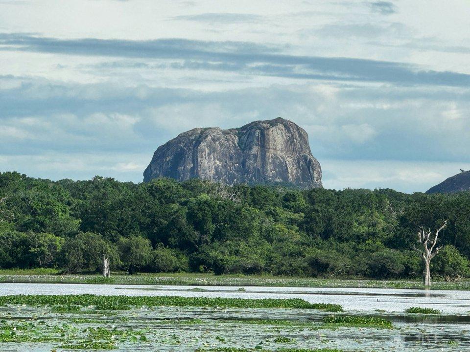 Hunting in MAPUTO CITY: A Unique and Thrilling Experience in Mozambique’s Urban and Coastal Wilderness, Blending Modern Adventures with Traditional Wildlife Encounters