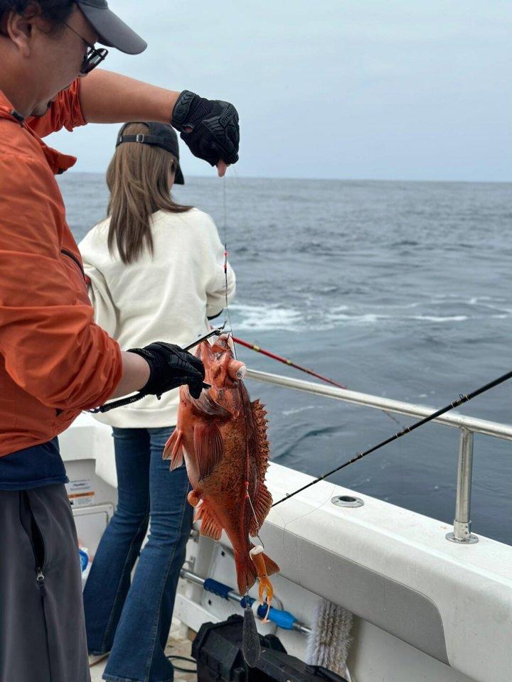 Photo from news post