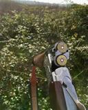 Beretta 686 Silver Pigeon I: Обзор, характеристики, калибры, цена, отзывы, чоки.

Beretta 686 Silver Pigeon I — это легендарное двуствольное ружье с вертикальным располож