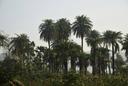 Explore Tambacounda’s Hunting Scene: Laws, Legislation and Geography. From Safaris to hunting seasons and cultural heritage

The Tambacounda Department in Senegal is a ha