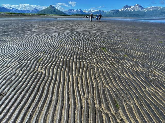 What I saw and photographed recently based out of Homer, Alaska.