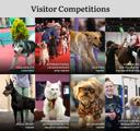 Visitor Competitions ADIHEX 2025 — shows, entry rules and insider tips

Visitor Competitions ADIHEX 2025 are the most interactive, family-friendly part of the Abu Dhabi I