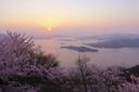 広島県の狩猟ツアー：自然と挑戦の体験
地理的・自然的特徴
広島県は中国地方の西部に位置し、瀬戸内海と山岳地帯が広がる多様な地形を持っています。特に、中国山地や西中国山地は、ニホンジカやイノシシ、キツネ、タヌキなどの野生動物の生息に適した環境を提供しています。広島県の森林は、動物たちの隠れ家や餌場としても利用されており、狩猟にとって理想的な条件を備えています。また、瀬戸内海に面した地域では、水鳥の狩猟も行われています。
狩猟者と地域の人口統計
広島県には約2,000人の狩猟免許所持者がいます（2021年時点）。これは中国地方の中でも比較的多い数です。地域の高齢化が進む中、若年層の狩猟者も少しずつ増えており、狩猟文化の継承が課題となっています。特に、ニホンジカやイノシシの個体数増加に伴い、農業被害を防ぐ目的で狩猟に参加する新規狩猟者も見られます。
狩猟の特徴
広島県での狩猟は、山岳地帯や森林地帯が中心です。ニホンジカやイノシシは警戒心が強く、動きが速いため、狩猟には高度な技術と経験が必要です。狩猟方法は、銃器を使った狩猟が主流ですが、罠を使った方法も一部で行われています。また、冬季の積雪時には、動物の足跡を追跡する「雪上追跡狩猟」が行われます。
地域の狩猟タイプと対象動物
広島県で主に狩猟される動物は以下の通りです：
ニホンジカ：個体数が増加しており、狩猟の主要対象です。
イノシシ：農業被害が深刻で、狩猟が推奨されています。
キツネやタヌキ：毛皮を目的とした狩猟が行われます。
カモ類：鳥猟の対象です。
狩猟シーズン
広島県のニホンジカとイノシシの狩猟シーズンは、11月15日から翌年2月15日までです。鳥猟のシーズンは、11月から2月にかけて行われます。シーズン外の狩猟は法律で禁止されており、違反者は罰則を受けます。
狩猟者団体とクラブ
広島県には「広島県猟友会」をはじめとする狩猟者団体が存在します。これらの団体は、狩猟者の技術向上や安全確保を目的とした講習会やイベントを定期的に開催しています。また、地域ごとに小さな狩猟クラブもあり、情報交換や共同での狩猟が行われています。
狩猟に関する法律
広島県の狩猟は、日本の「鳥獣保護管理法」に基づいて規制されています。狩猟免許の取得には、講習会と試験の合格が必要です。また、ニホンジカやイノシシの狩猟には、特定の銃器や罠の使用が許可されていますが、その使用には細かい規定があります。特に、農業被害を防ぐための「有害鳥獣駆除」は、自治体の許可を得て行われることが多いです。
狩猟に関連する伝統
広島県では、狩猟で得た肉を使った料理が地域の食文化として親しまれています。特に、「鹿肉のしゃぶしゃぶ」や「猪鍋」は、冬の風物詩として知られています。また、狩猟で得た毛皮は、伝統工芸品の材料としても利用されています。
狩猟に関する興味深い事実
広島県のニホンジカは、近年個体数が増加しており、農業被害が深刻化しています。これに対応するため、自治体が主体となった駆除作戦が行われています。
広島県の山間部は、都市部からのアクセスが比較的容易であり、週末に狩猟を楽しむ人々も多いです。
広島県の狩猟者は、他の地域に比べて女性の割合が比較的高いことが特徴です。
広島県の狩猟ツアーは、その豊かな自然と伝統が融合した特別な体験です。狩猟者にとって、この地域は技術を磨き、自然との共生を学ぶ場でもあります。

#広島狩猟#狩猟ツアー#ニホンジカ狩り#イノシシ狩り#鳥獣保護管理法#有害鳥獣駆除#広島県猟友会#狩猟文化#鹿肉料理#猪鍋#狩猟免許#女性狩猟者#広島の伝統#自然との共生#狩猟体験#広島の自然