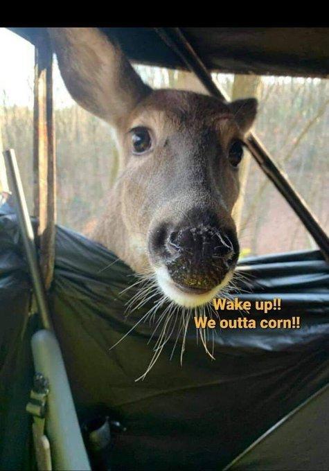 Photo from news post