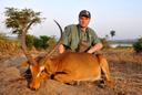 Hunting in Hoima: Geography and Natural Features, Hunting Demographics, and Game Species Diversity

The first scent of dawn in Hoima carries the musky odor of elephants mixed with woodsmoke from distant villages. Somewhere in the thick bush, a buffalo herd stirs, their hooves kicking up red dust that hangs in the humid air. This is Uganda's new frontier - where oil derricks rise on the horizon like metal baobabs, yet the wilderness still pulses with primeval energy. For hunters seeking Africa before the modern world changes it forever, Hoima offers a fleeting, precious opportunity.

The Land That Time Remembered

Hoima's geography reads like an adventure novel:

Riverine Jungles along the Victoria Nile hide crocodiles large enough to give pause
Oil Palm Plantations create unexpected edges where bushpigs raid at twilight
Murchison Falls' Shadow brings spillover wildlife including rogue elephants
Papyrus Swamps conceal sitatunga so wary they're called "forest phantoms"

The district sits at a crossroads where four ecosystems collide, creating hunting opportunities that shift dramatically within short distances. One morning you might be stalking warthogs in open grasslands, the next you're poling through flooded forests after the elusive shoebill stork.

Bunyoro's Hunting Legacy

The Bunyoro kingdom's warriors once hunted these lands with spears and poisoned arrows. Today their descendants preserve traditions including:

Empaako Naming Ceremonies - Hunters receive special praise names for notable kills
Moonlight Lion Hunts - Now ceremonial but once tested warrior courage
Elephant Pepper Routes - Ancient trails marked by pepper plants elephants avoid

Modern hunters working with Bunyoro guides often find themselves drawn into unexpected rituals. There's a spine-tingling moment when elders bless your rifle with traditional herbs, whispering prayers to ancestral spirits for a clean kill.

The Hunter's Crucible

Hoima doesn't offer easy hunts. A typical expedition involves:

04:30 - Wading through dew-soaked grass to intercept buffalo moving to water
11:00 - Tracking a wounded bushpig through palm oil plantations, sweat stinging your eyes
16:00 - Sitting motionless in sweltering heat as a Nile crocodile eyes your decoy
21:00 - Listening to hunter's tales around the fire as palm wine loosens tongues

The challenges here are visceral. Buffalo charge through thickets so dense you hear rather than see them coming. Crocodiles vanish into tea-colored waters mid-stalk. Even warthogs become cunning adversaries in this landscape.

Oil, Wildlife and the Future

Hoima stands at a crossroads:

Oil Revenue funds new anti-poaching units but brings infrastructure
Community Conservancies give locals stakes in preserving game
Pipeline Corridors create unexpected wildlife movement patterns

The paradox is striking - the same oil wealth threatening the wilderness also funds its protection. Hunters here participate in a delicate balancing act, their fees directly supporting:

Elephant conflict mitigation programs
Sitatunga wetland protection initiatives
Youth conservation education projects

Why Hunt Hoima Now?

There's an urgency to hunting here that transcends trophies. As guide Tom Kisembo explains: "You're not just taking memories - you're helping decide what survives." The animals taken are carefully selected problem individuals, while your presence funds protection for hundreds more.

What you'll remember isn't just the shot that dropped a charging bushpig at 30 yards, but:

The way dawn mist rises off the Nile like a living thing
Children singing hunting songs their ancestors sang
The weight of history in every step through this ancient kingdom

Hoima won't stay like this forever. But for now, in this moment between the past and the oil-fueled future, it offers one of Africa's most raw, real hunting experiences. Come with respect, shoot straight, and leave having touched something vanishingly rare.
